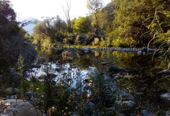 La Tranquilita has Balcony rooms