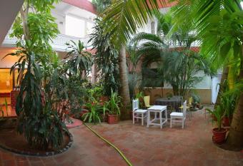 Daphne Hotel has Balcony rooms