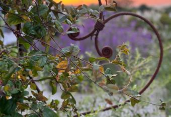 Bybrook Barn Bed & Breakfast has Balcony rooms