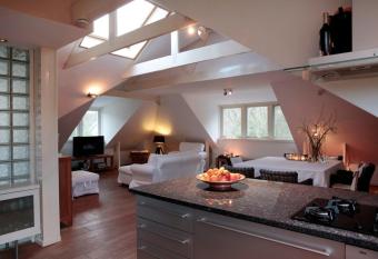 Loft aan Zee Penthouse B&B Schoorlse Duinen has Balcony rooms