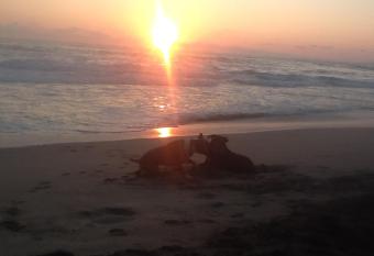 Hostal Caparazona allows 18 year olds to book a room