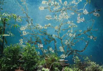                         Only Cafe and Backpacker allows 18 year olds to book a room