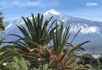 LOFT DOA with panoramic views and Wifi San Marcos has Balcony rooms