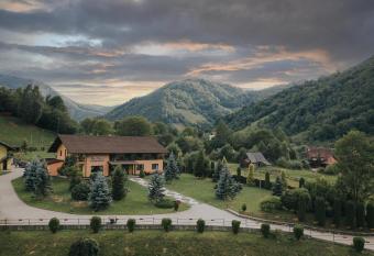 Pensiunea Rau Sadului has Balcony rooms