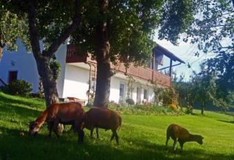 Ferienhof Pfeffer has Balcony rooms