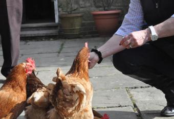 Little Tidebrook Farm allows 18 year olds to book a room