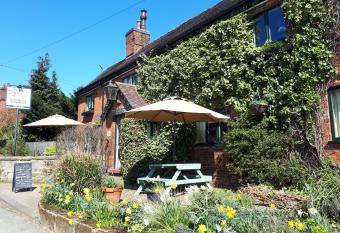 Olive Tree Guest House allows 18 year olds to book a room