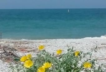 Green B&B has Balcony rooms