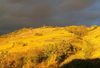Wine Passion Panoramic has Balcony rooms
