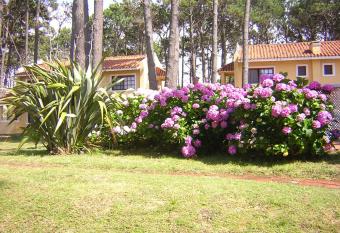 Pino Dorado allows 18 year olds to book a room