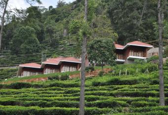 Hanging Huts Resorts has Balcony rooms