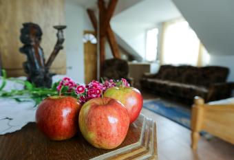 Aktywna Agroturystyka has Balcony rooms