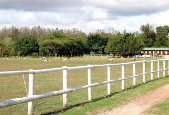 Blue Mountain Farm Lodge, Cabins & Cottages has Balcony rooms
