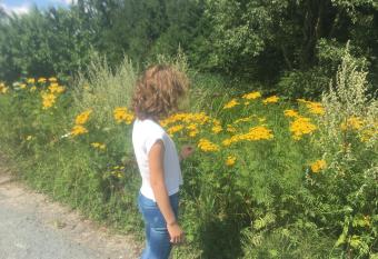 T Bed & De Tafel has Balcony rooms