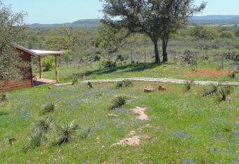 Texas T Bed And Breakfast allows 18 year olds to book a room