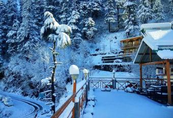 Soham s Chateau De Naggar - Manali allows 18 year olds to book a room