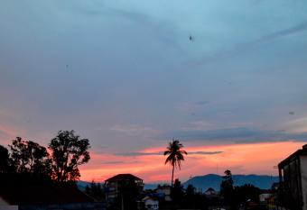 Birds Nest has Balcony rooms