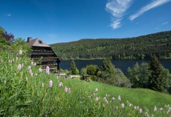 Alemannenhof - Boutique Hotel am Titisee has Balcony rooms