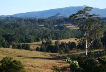 Grey Gum Lodge has Balcony rooms