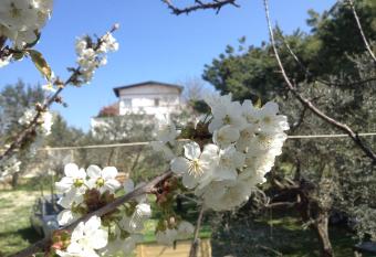 Via col Vento has Balcony rooms