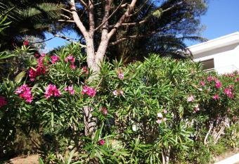 Gigaro has Balcony rooms