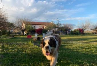 Agriturismo il Podere allows 18 year olds to book a room