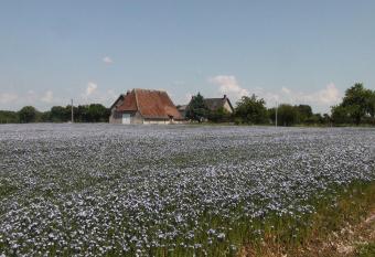 La Huberdi  re allows 18 year olds to book a room