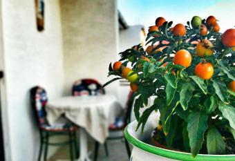 Apartment Stela has Smoking/Balcony rooms