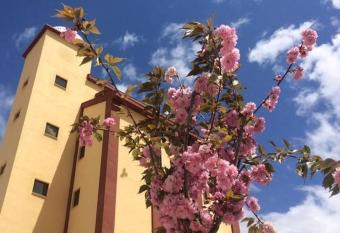 Mirador El Silo allows 18 year olds to book a room