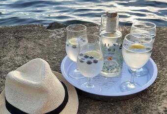 Apartments Nena has Balcony rooms