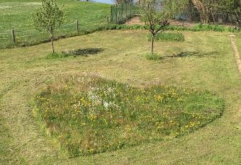 Scherauer Hof allows 18 year olds to book a room