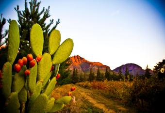 Modderkloof Farm Accommodation allows 18 year olds to book a room