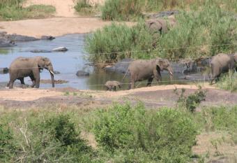 Villa-Candilabra Guesthouse has Balcony rooms
