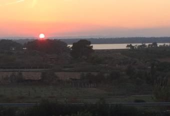 Sunset La Mata has Balcony rooms