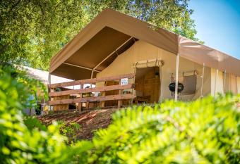 Sunflower Camping has Balcony rooms