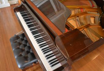 Babinda Quarters has Balcony rooms