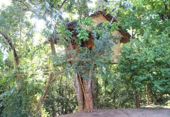 Tree House-Midigama has Balcony rooms