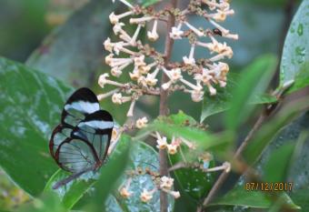 CreaDora allows 18 year olds to book a room