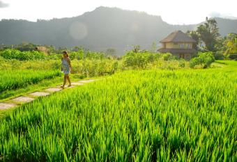 Bebek Biru has Balcony rooms