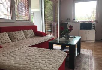 Apartments Premovi   Nik  i   has Balcony rooms