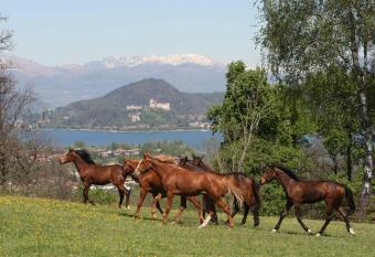 La Cucchetta has Balcony rooms