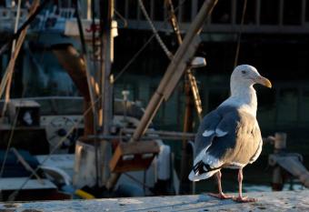 Kiekutsland allows 18 year olds to book a room