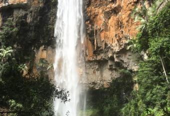 Purling Brook Falls Gwongorella has Balcony rooms