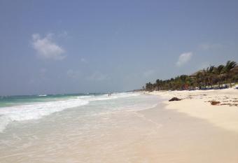 Ocean Lodge Hotel North has Balcony rooms