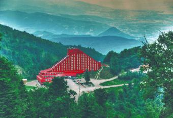 The Green Park Kartepe allows 18 year olds to book a room