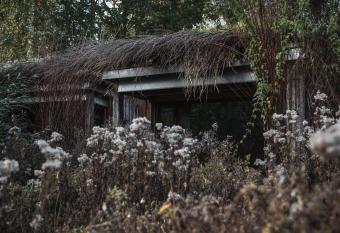 La Grenouill  re has Balcony rooms