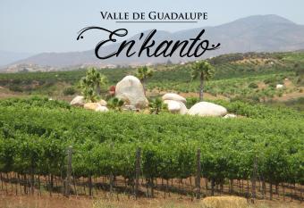 En'kanto Valle de Guadalupe allows 18 year olds to book a room