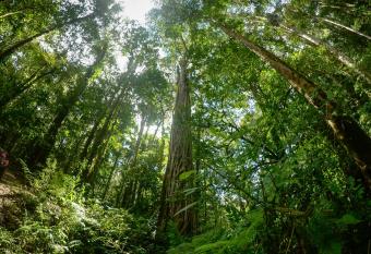 Talamanca Nature Reserve has Balcony rooms