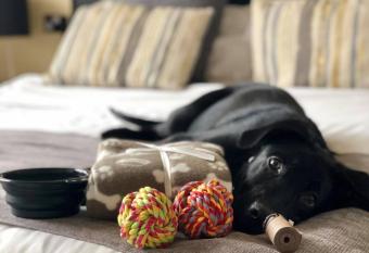 The Ashleigh - Dog Friendly allows 18 year olds to book a room