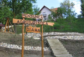 Pensiunea Agroturistica Diana has Balcony rooms